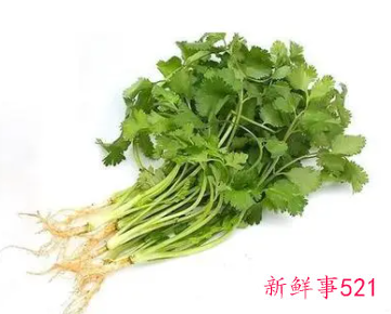 香菜有哪些功效与作用