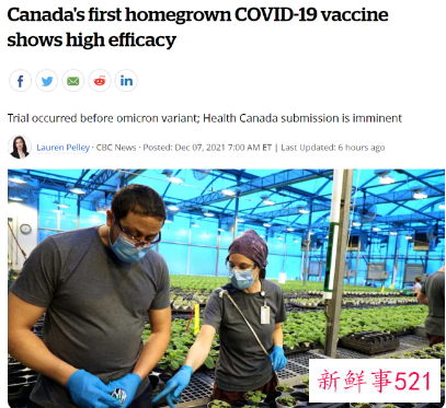 全球首款植物性新冠疫苗可有效预防变异株