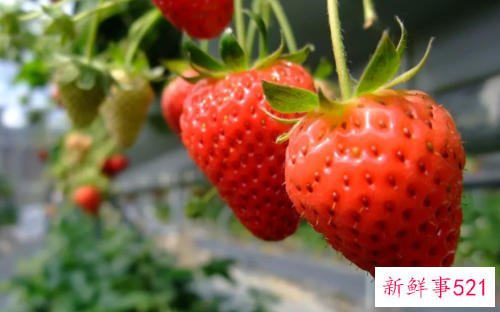 排毒解毒的水果有哪些