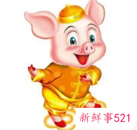 属猪男和什么属相最配