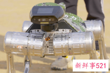 国产牦牛仿生机器人亮相