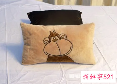 梦见枕头上有蛇是什么意思