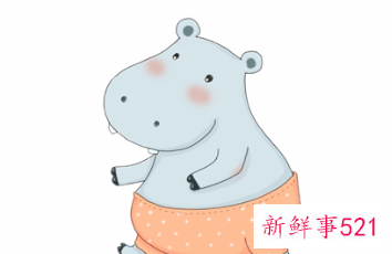 河马当保姆儿童故事