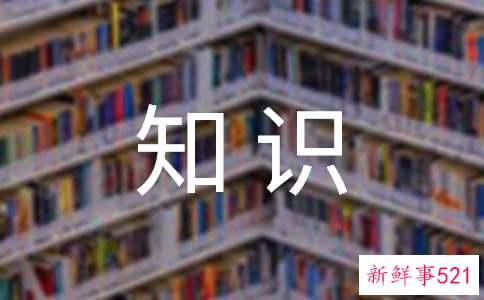 知识竞赛的收获