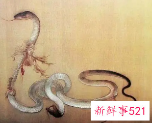 孕妇梦见一对蛇寓意