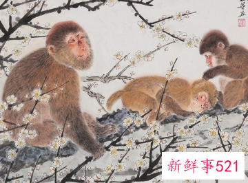 茶室挂画图片欣赏