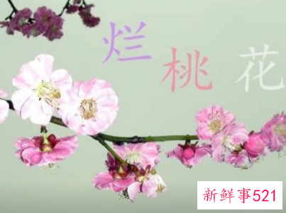 男人遇到烂桃花的征兆