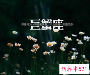 专属巨蟹座的一句话