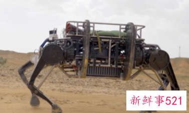 国产牦牛仿生机器人亮相