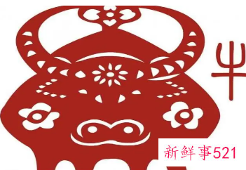 女人抢着要的生肖男