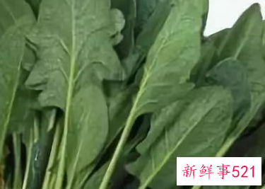 秋冬干燥吃什么滋润