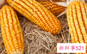 玉米蒸熟以后发黑