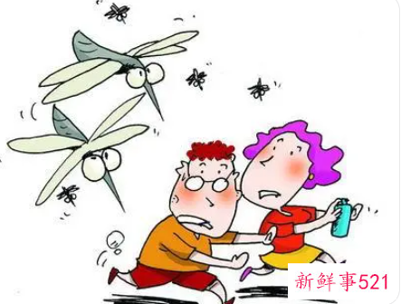 家里有蚊子怎么办