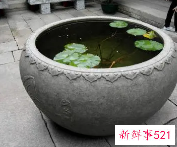 梦见大水缸有什么征兆