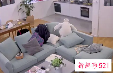 过年家里摆什么好