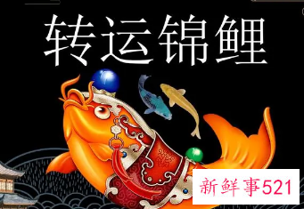 女人转运聚财快手名字