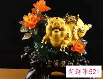 金猪摆在什么方向招财