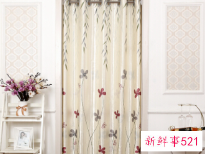 门帘颜色有什么风水讲究