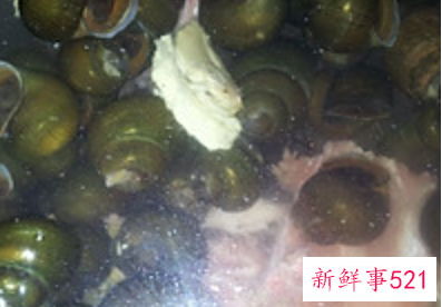 田螺排骨煲做法