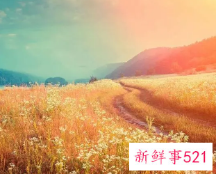 满满的感动和温暖句子