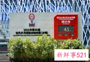 2022年世乒赛有什么项目