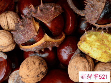 适合冬天吃的食物有哪些