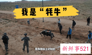 国产牦牛仿生机器人亮相