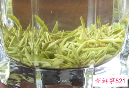 碧螺春怎么泡的