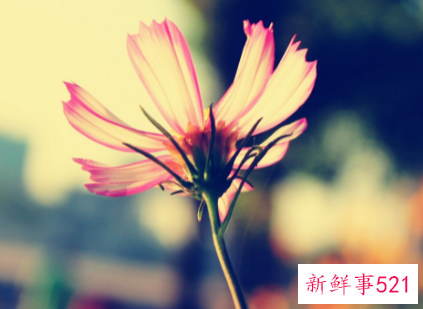 睡前简单6招晨起必定好气色