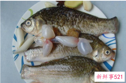 常见淡水鱼营养价值排名