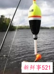 钓鱼必备专业知识