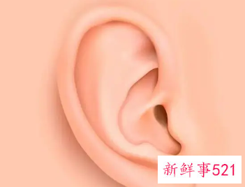 油耳屎怎么清理最好方法