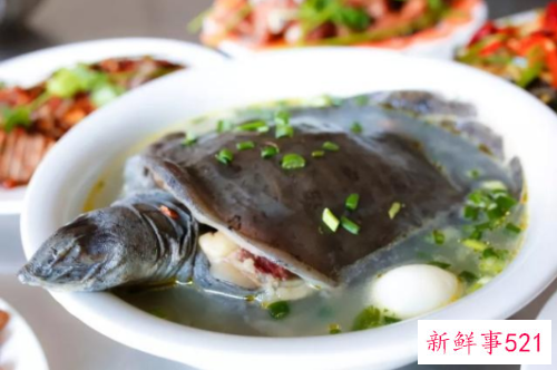 常见淡水鱼营养价值排名