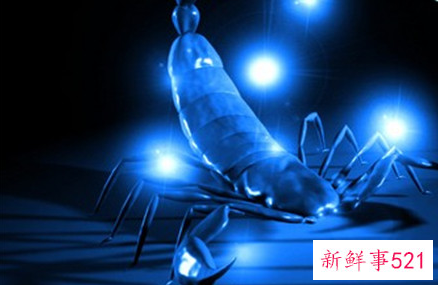 世界上最恐怖的星座是什么星座