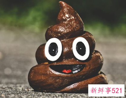 梦见屎尿什么寓意