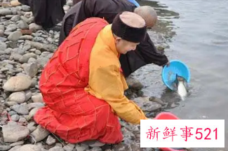 梦见放生代表什么