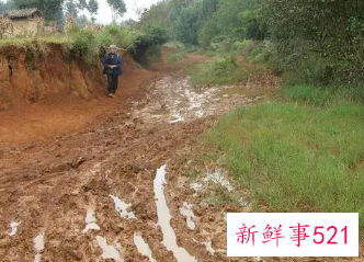 梦见道路不通有障碍