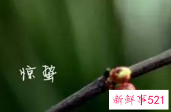 日历上惊蛰是什么意思