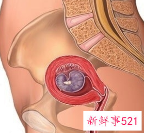 怀孕1一9月胎位变化图片
