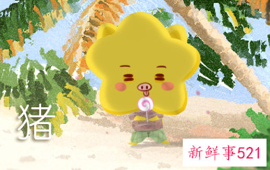 属猪男喜欢年龄大的女人吗