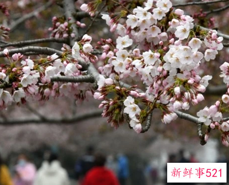 五一还能出去旅游吗