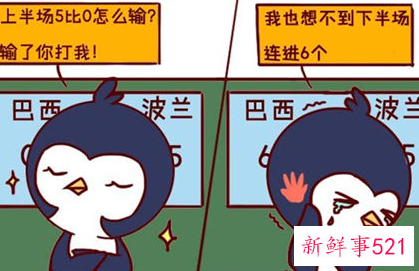 容易吸引男神的星座女