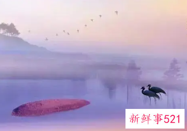 女人心地善良的诗