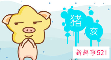 属猪男喜欢年龄大的女人吗