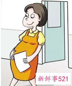 孕8月休产假还是病假