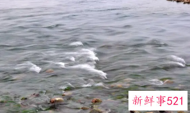 女人梦见河水运气好不好