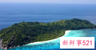 梦见岛屿的寓意