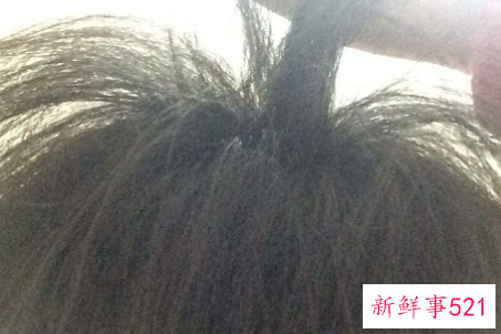 头发像杂草一样怎么办