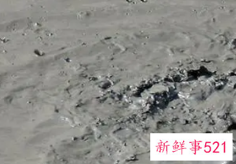 梦见污泥里走是什么意思