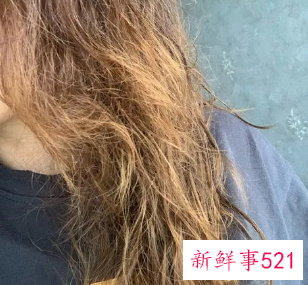 头发为什么干枯毛躁